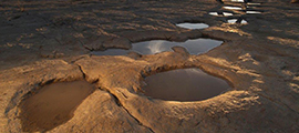 Dinosaur Tracks Near La Junta, Colorado